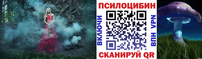 купить   Североморск  Галлюциногенные грибы прущие грибы 